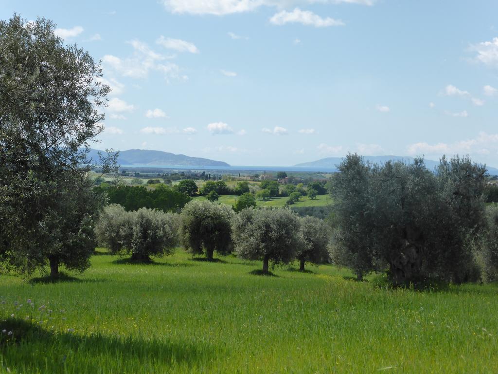 Campospillo Villa Magliano in Toscana Kültér fotó